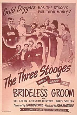Brideless Groomのポスター