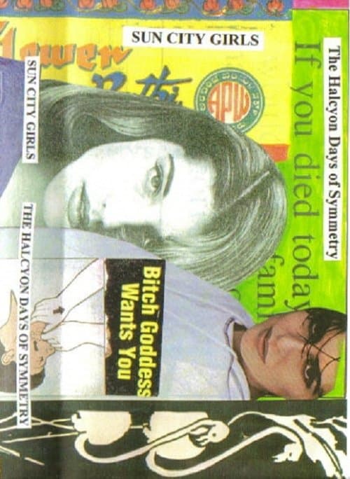 The Halcyon Days of Symmetryのポスター