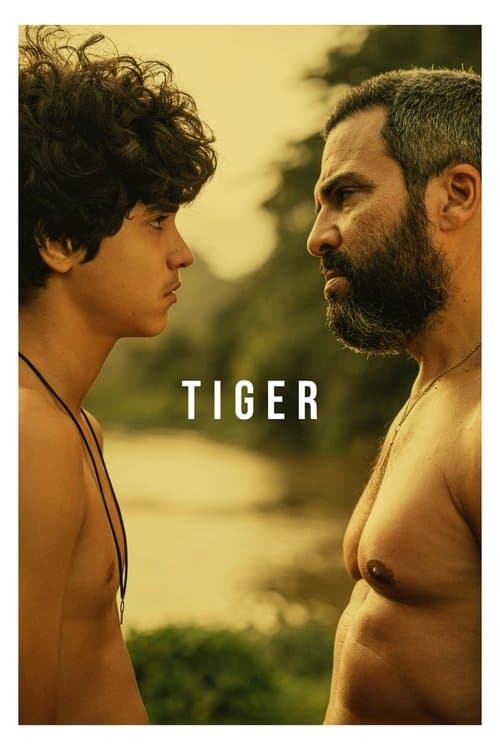Tiguereのポスター