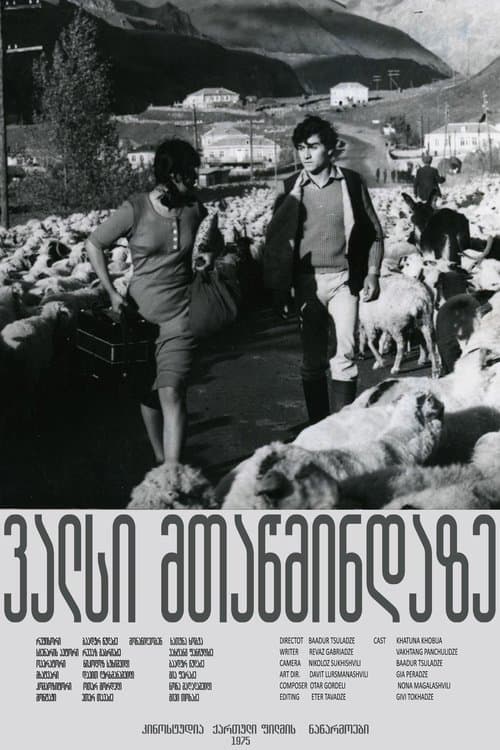 ვალსი მთაწმინდაზეのポスター