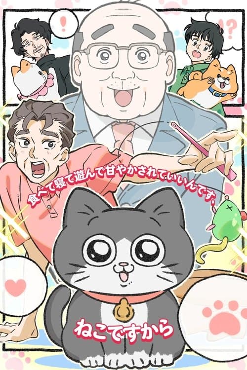 ねこに転生したおじさんのポスター