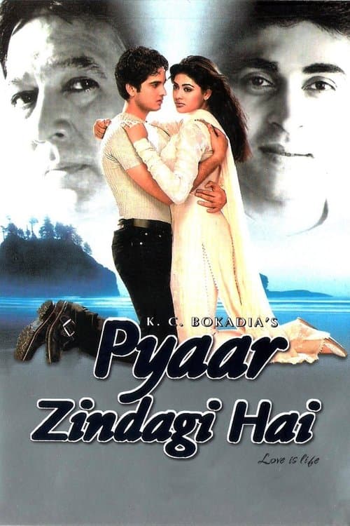 Pyaar Zindagi Haiのポスター