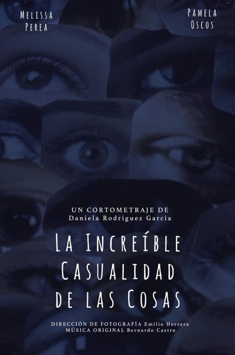 La Increíble Casualidad de las Cosasのポスター