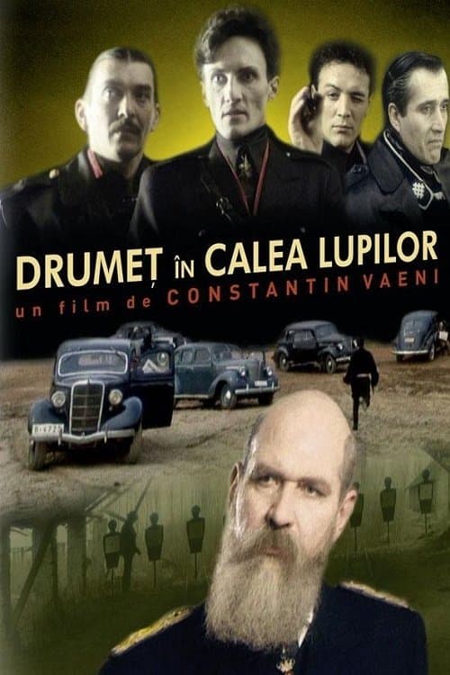 Drumeț în calea lupilorのポスター