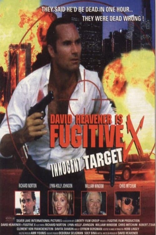 Fugitive X: Innocent Targetのポスター