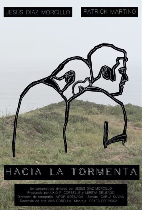 Hacia la tormentaのポスター