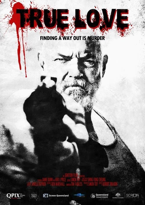 True Loveのポスター