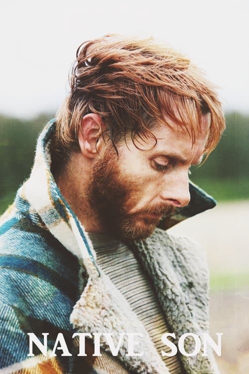 Native Sonのポスター