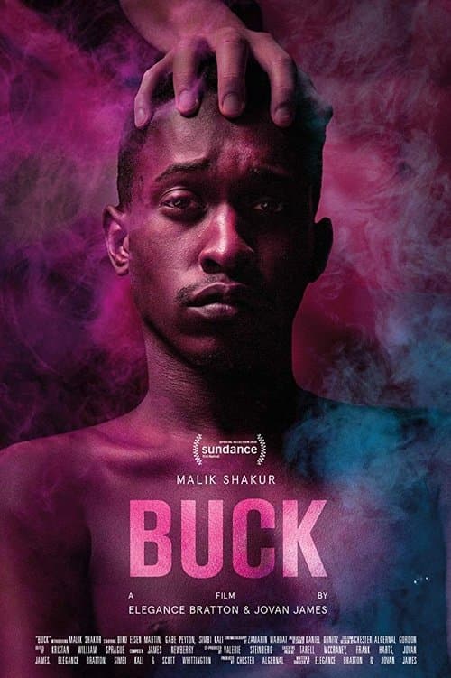 Buckのポスター