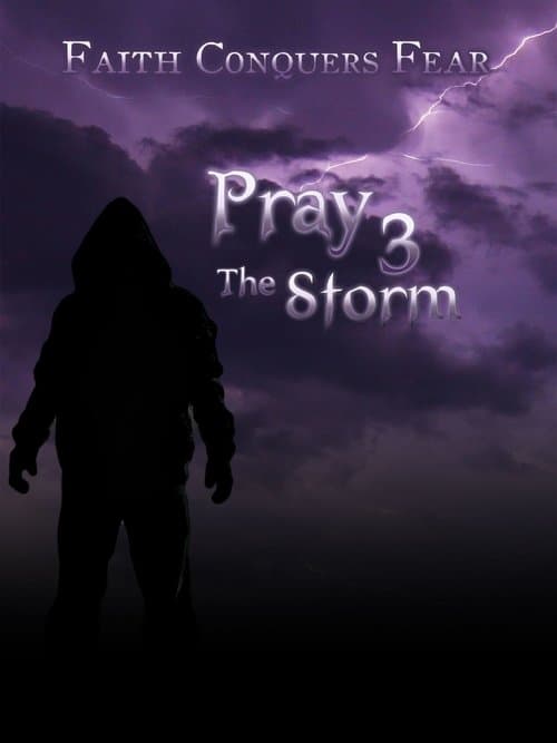 Pray 3D: The Stormのポスター