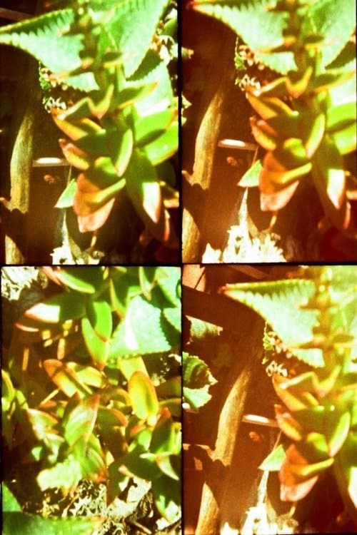 Jardinesのポスター