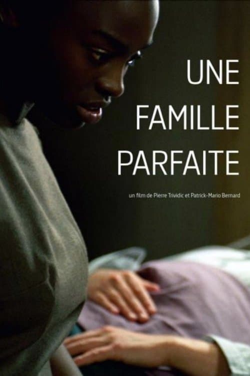 Une famille parfaiteのポスター