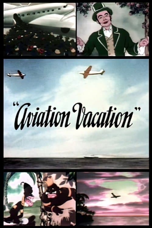 Aviation Vacationのポスター