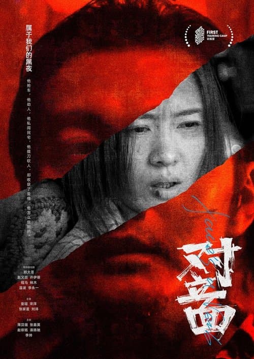对立面のポスター