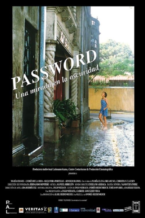 Password: Una mirada en la oscuridadのポスター