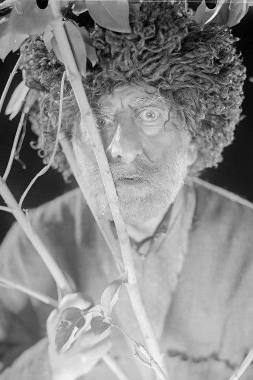 არშაულაのポスター