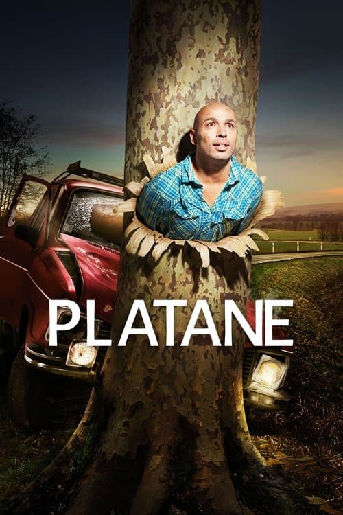 Plataneのポスター