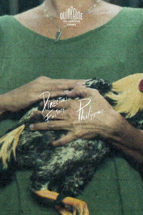 Nightbirdsのポスター