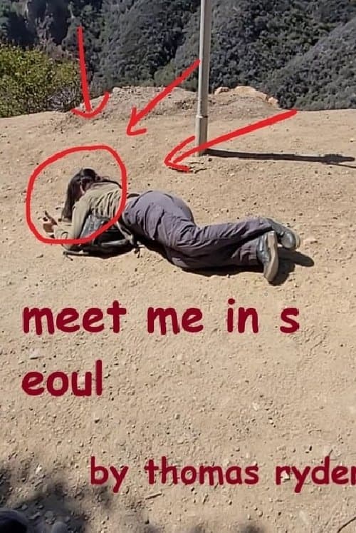 Meet Me In Seoulのポスター