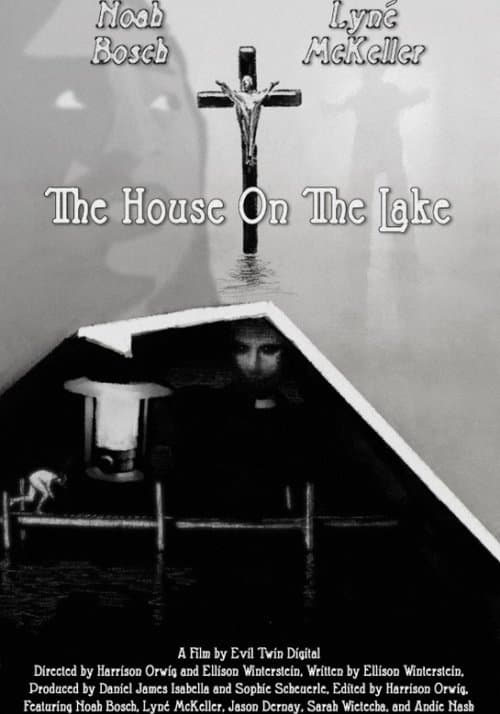 The House On The Lakeのポスター