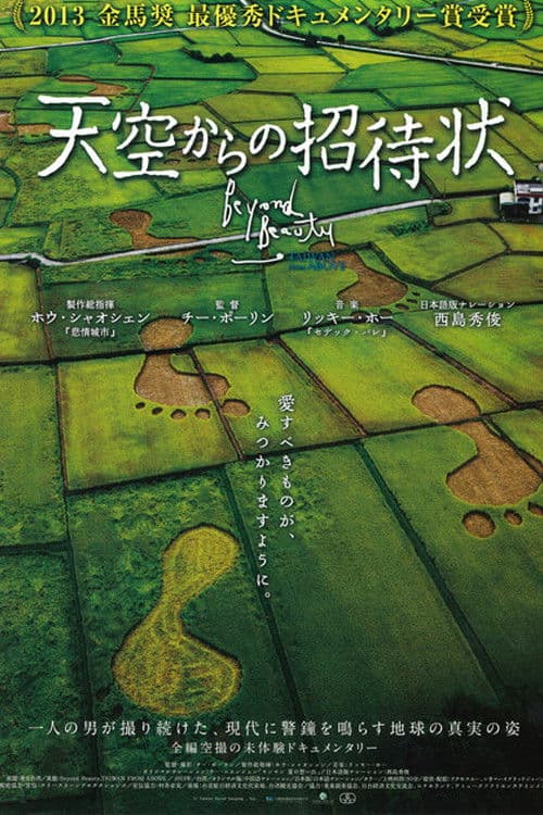 天空からの招待状のポスター