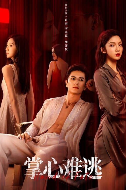 掌心难逃のポスター