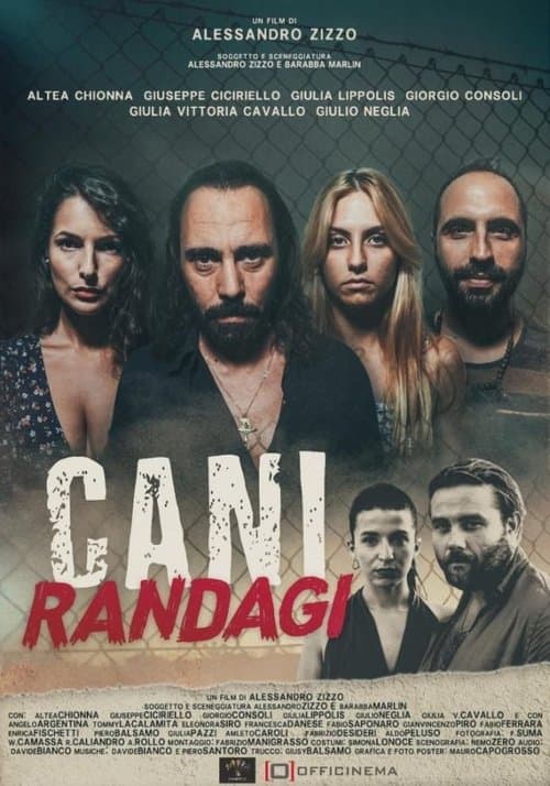 Cani randagiのポスター