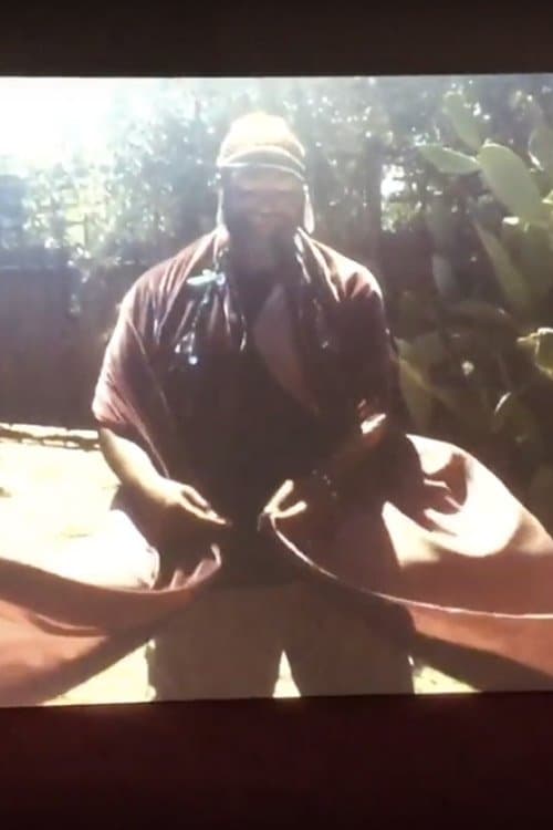 Girl Talkのポスター