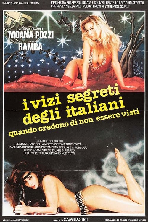 I vizi segreti degli italiani quando credono di non essere vistiのポスター
