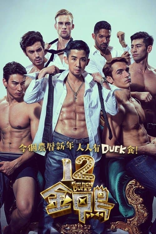 12金鴨のポスター