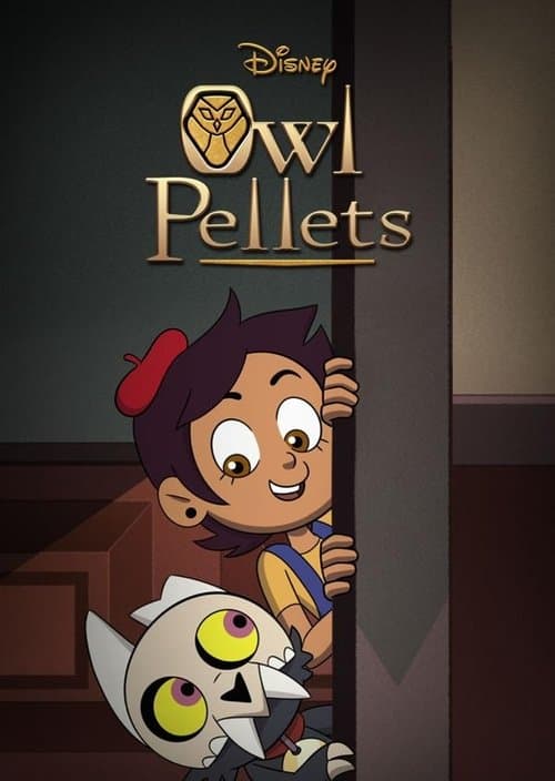 Owl Pelletsのポスター