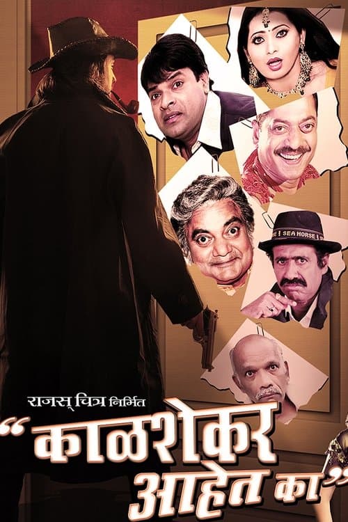 काळशेकर आहेत का?のポスター