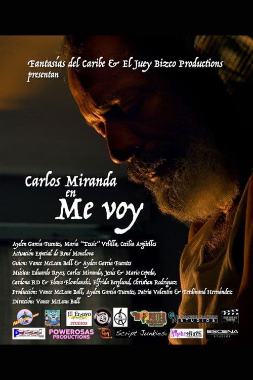 Me voyのポスター