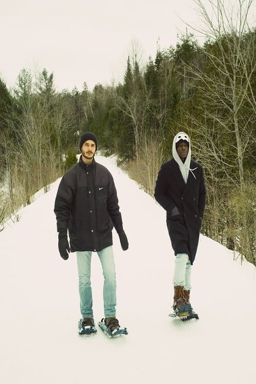 The Housesitterのポスター