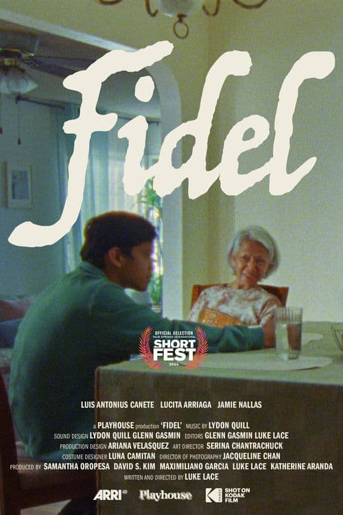 Fidelのポスター