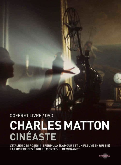 Charles Matton visiblementのポスター
