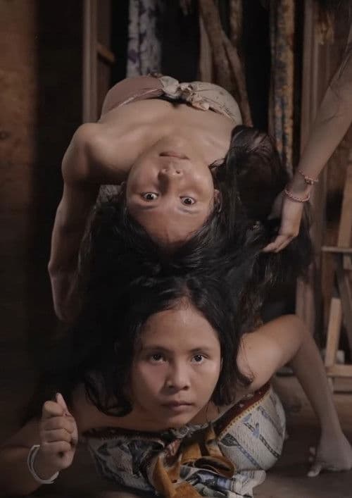 Terikatのポスター