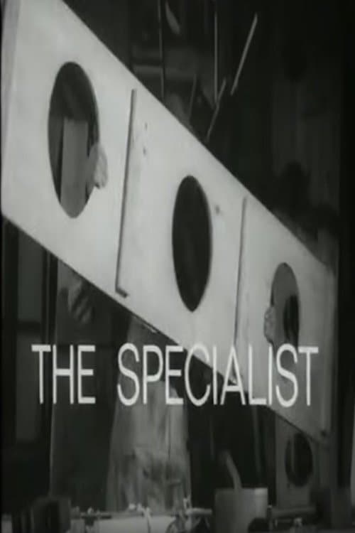 The Specialistのポスター