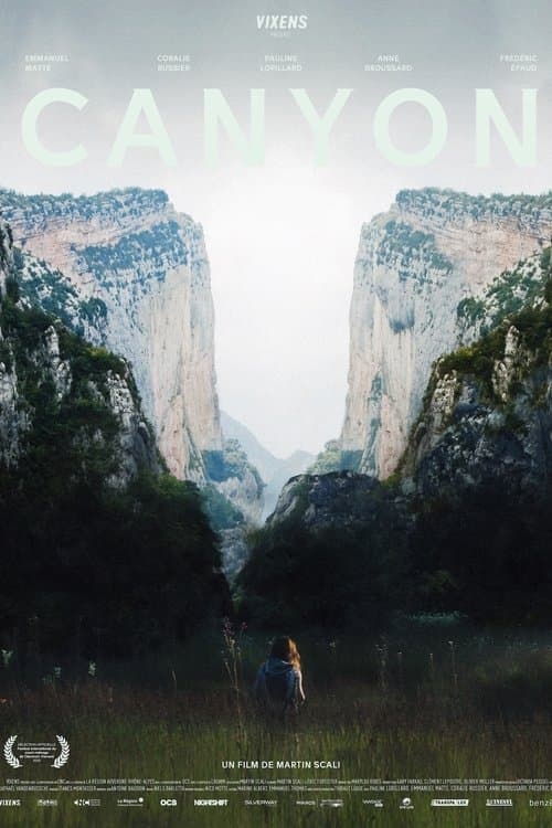 Canyonのポスター