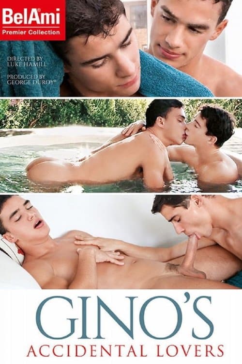 Gino's Accidental Loversのポスター