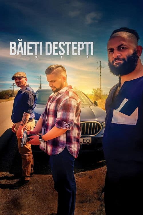 Băieți deștepțiのポスター