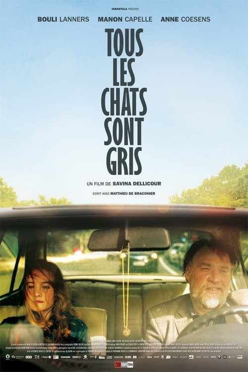 Tous les chats sont grisのポスター
