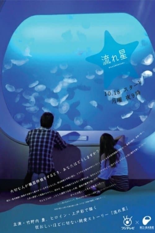 流れ星のポスター