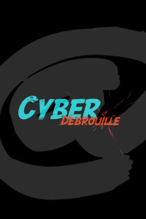 Cyberdebrouilleのポスター