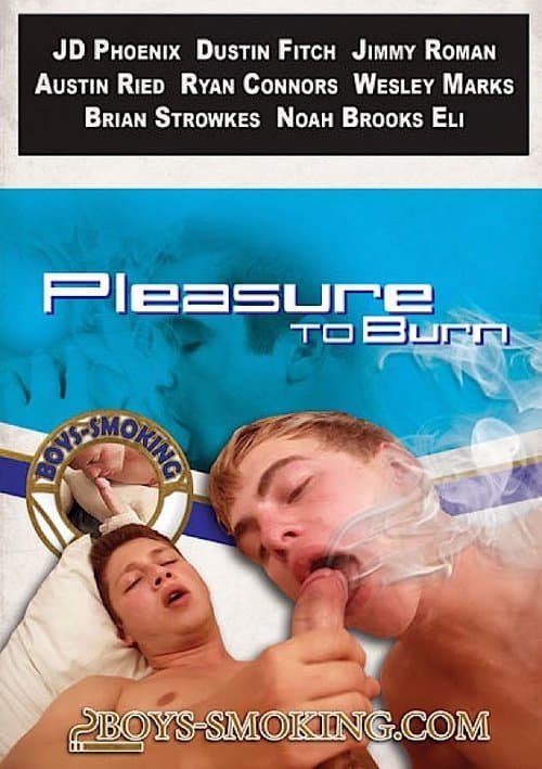 Pleasure to Burnのポスター
