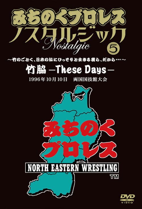 Michinoku Pro 3rd Anniversary: These Daysのポスター