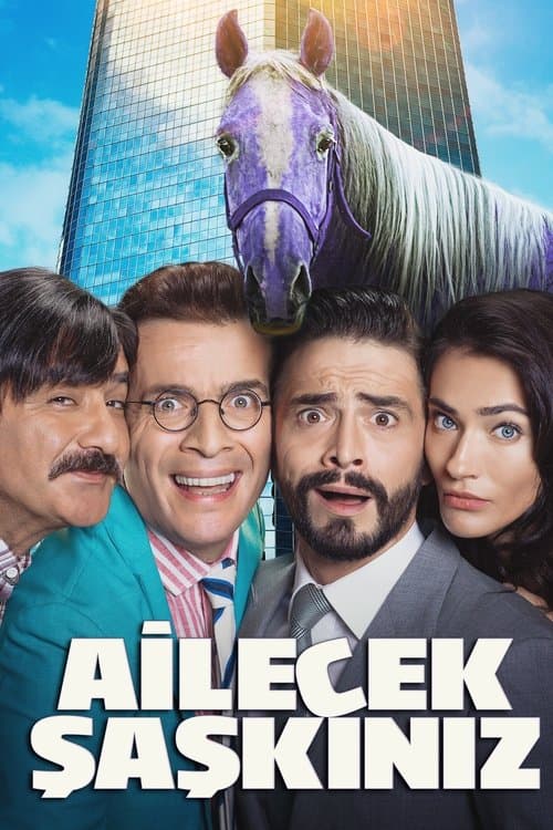 Ailecek Şaşkınızのポスター