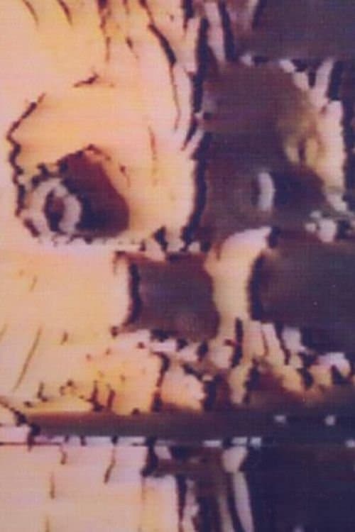 HORROR日記のポスター