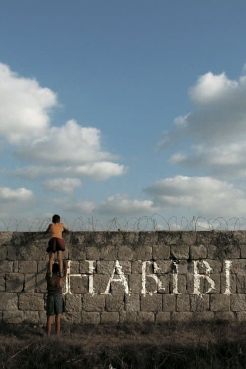 HABIBIのポスター