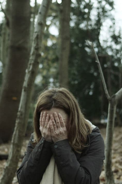 The Erl Kingのポスター